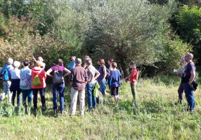 Exkursionen in Eschenbach