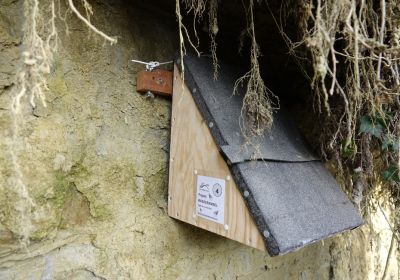 Förderung Wasseramsel Bergstelze Hiltigbach