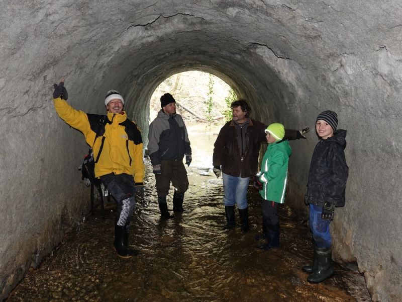 foerderung wasseramsel hiltigbach