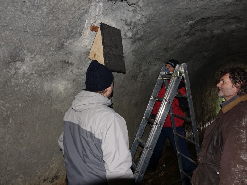 foerderung wasseramsel hiltigbach