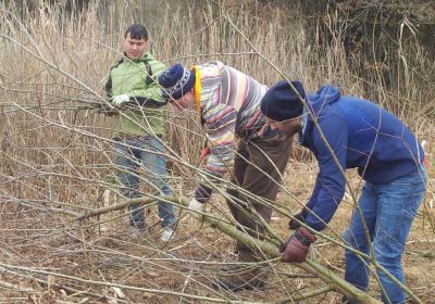 Pflegeeinsätze Eschenbacher Moos