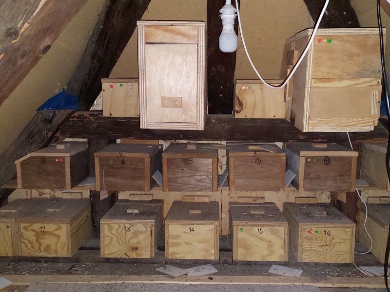 kolonie wydmuehleweg innen