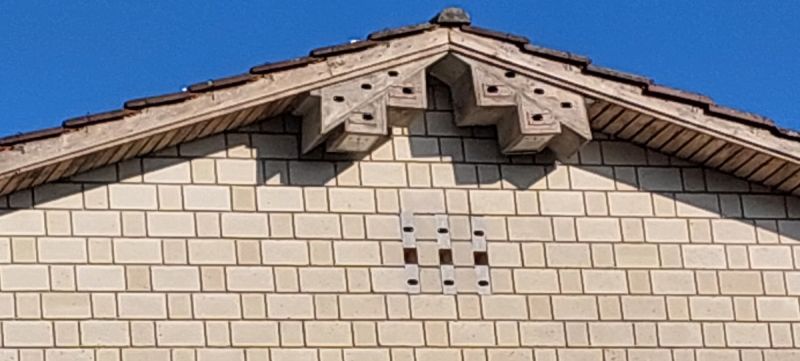 mauerseglerkolonie turnhalle huebeli